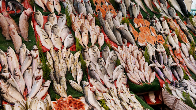 Akdeniz'de, 2018 yılında en fazla yakalanan balık türü 2 bin 964 ton ile sardalya oldu.
