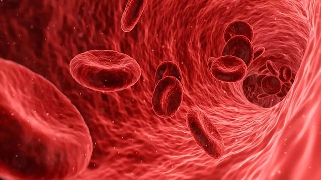 Koronavirüse yakalanma riski en yüksek kan grubu hangisi?