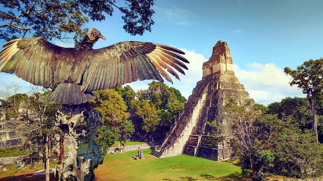 Mayaların kayıp şehri: Tikal