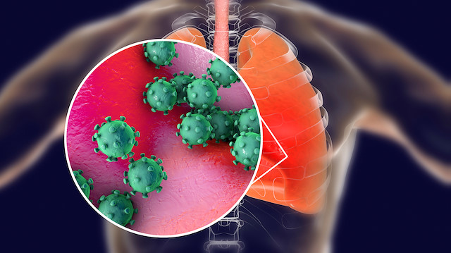 Otopsiler ortaya çıktı: Koronavirüs hasta öldükten sonra da yaşıyor