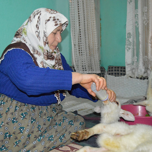 Kuzuları için yem isteyen yaşlı kadının yüzünü vefa ekibi güldürdü