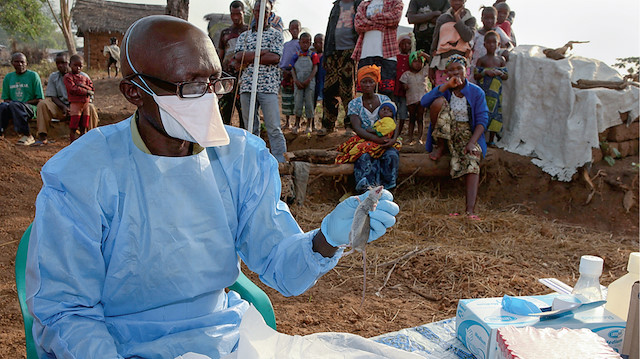 Nijerya koronavirüsün yanında Lassa ateşiyle de mücadele ediyor