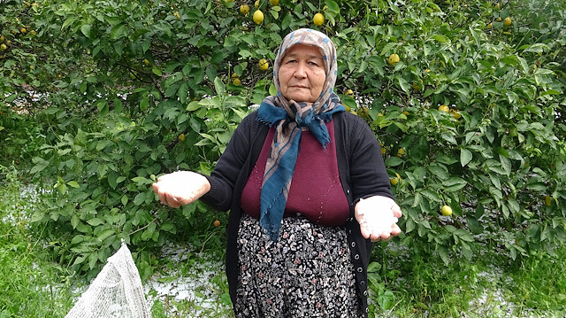 Narenciye bahçelerini dolu vurdu