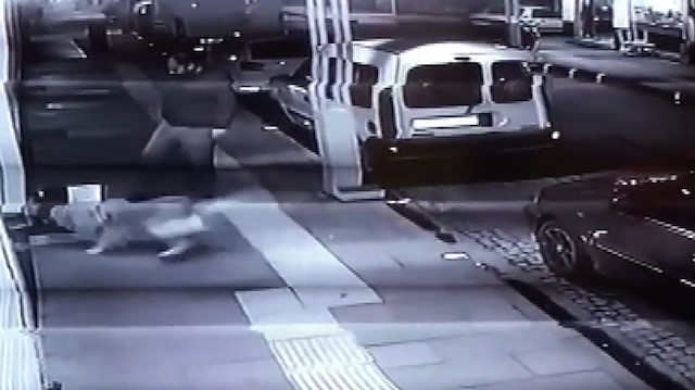 Vicdansız adam köpeğini yeni doğum yapmış kedi ve yavrularının üzerine saldı