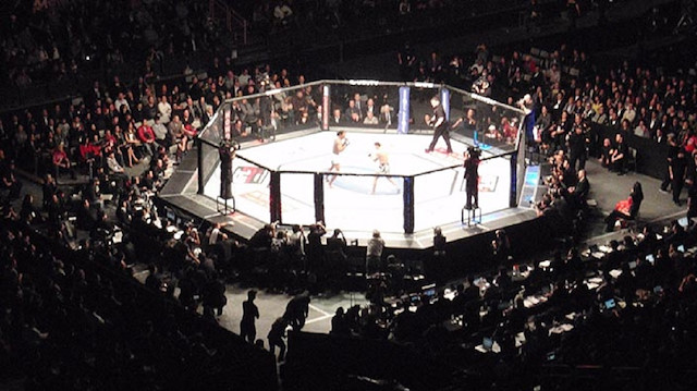UFC, Las Vegas Nevada merkezli Amerikalı karma dövüş sanatları organizasyonudur. 