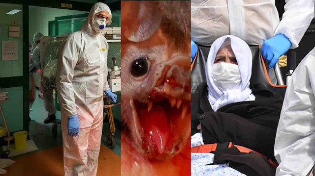 Ortaya çıktığı Aralık ayından beri dünyayı etkisi altına alan koronavirüs, bugüne dek 1 buçuk milyondan fazla kişiye bulaşmakla kalmadı, 90 binden fazla insanın hayatını kaybetmesine yol açtı.