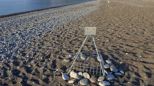 Boş sahiller caretta carettaları bekliyor.