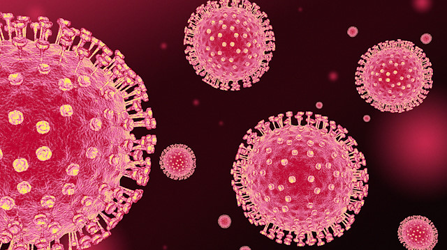Cambridge Üniversitesi açıkladı: Koronavirüsün hali hazırda üç farklı mutasyonu yayılıyor