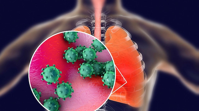 Bilim Kurulu Üyesi uyardı: Koronavirüs vücutta 27 gün kalabilir