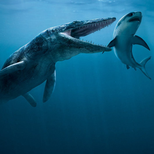 İlk defa keşfedildi: Dinozorların su altında yaşayanı da varmış