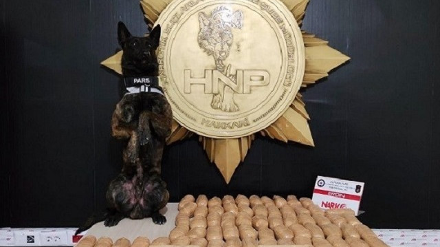 Narkotik köpek Pars da operasyona dahil oldu.