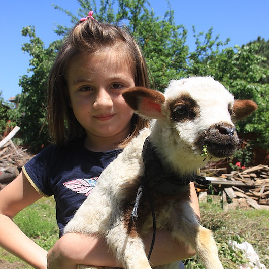 Parklarda koşmak yerine kuzusu ile koşmayı tercih etti