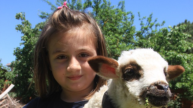 Parklarda koşmak yerine kuzusu ile koşmayı tercih etti