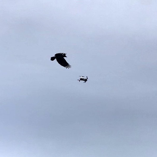 Karganın droneye saldırısı renkli görüntülere sahne oldu