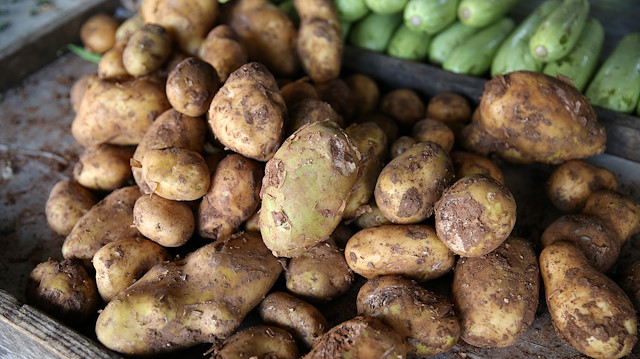 Patates için 50 bin ton ihracat izni çıktı.