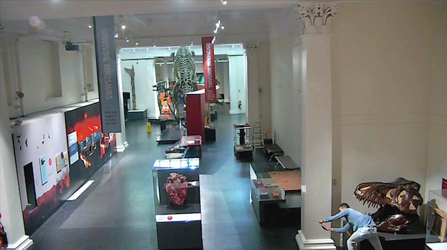 A man (bottom right) is seen taking a selfie picture with a dinosaur exhibit in the closed Australian Museum in Sydney, Australia, May 10, 2020, in this still image obtained from CCTV footage released by New South Wales Police. 