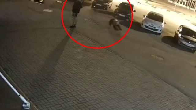 Rusya'da şehre inen ayının saldırısı kameraya yansıdı