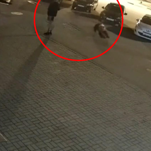 Rusyada şehre inen ayının saldırısı kameraya yansıdı