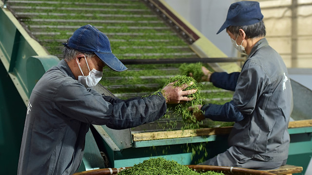 Employees work on the production line at a tea processing plant in Wuyi
