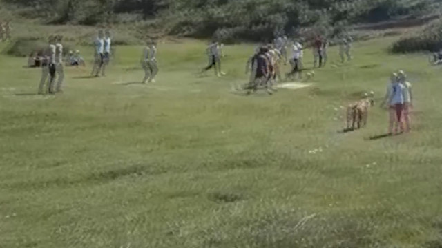 Kısıtlamaya rağmen ormanlık alanda mangal yakıp futbol oynadılar