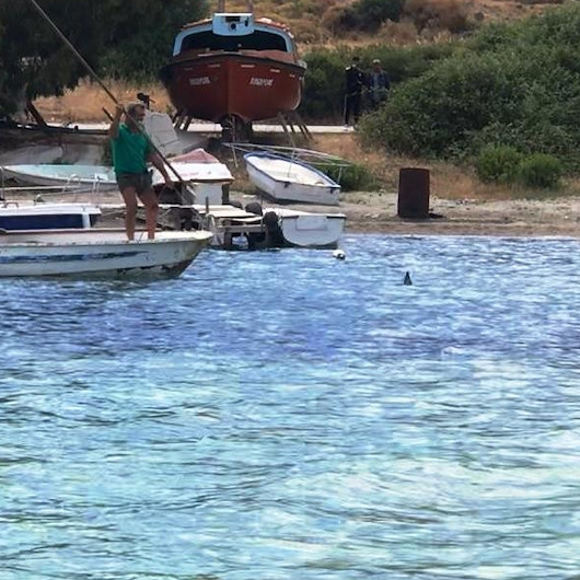Denizde vahşet
