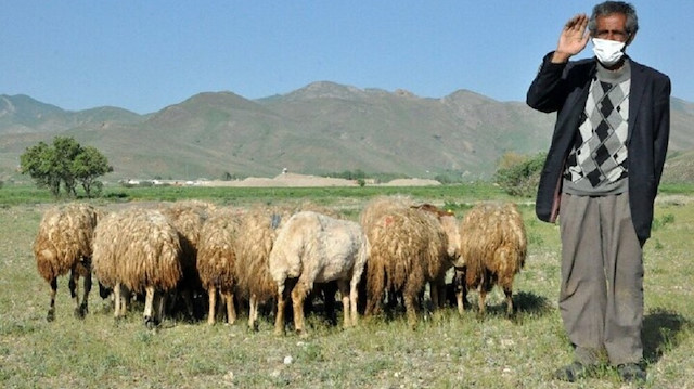 Mehmet amca, kendisine verilen 20 koyun için çok mutlu olduğunu söyledi.