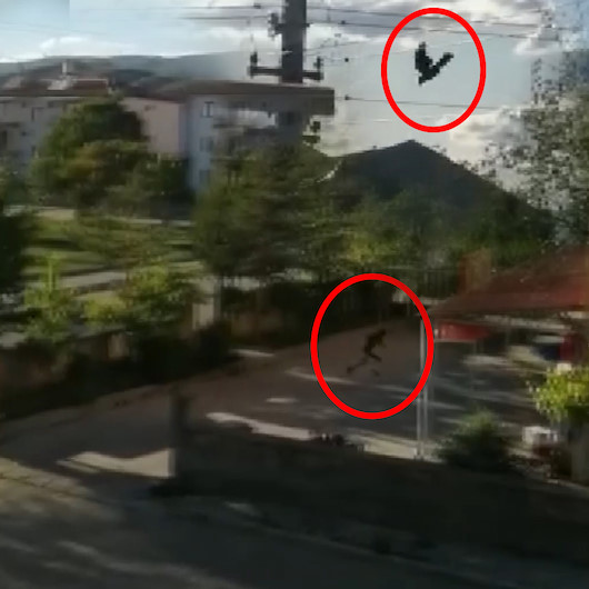 Yavru kargayı korumaya çalışan kargalar, vatandaşlara zor anlar yaşattı