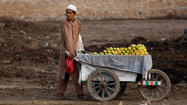 A boy pushes a cart as he is selling mangoes along a street in Peshawar, Pakistan July 19, 2019.