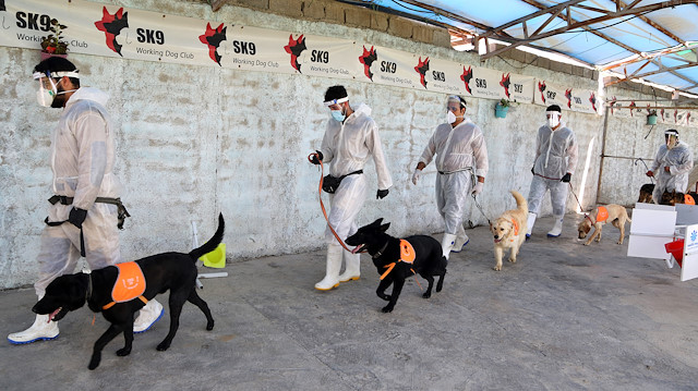 File photo: Dogs in Iran trained to sniff out Covid-19

