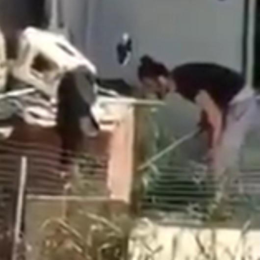 Nasıl kaçarsın deyip köpeği sopayla dövdü