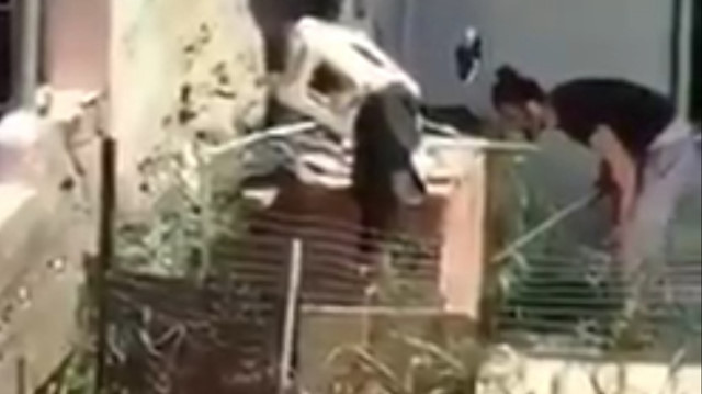 'Nasıl kaçarsın' deyip köpeği sopayla dövdü