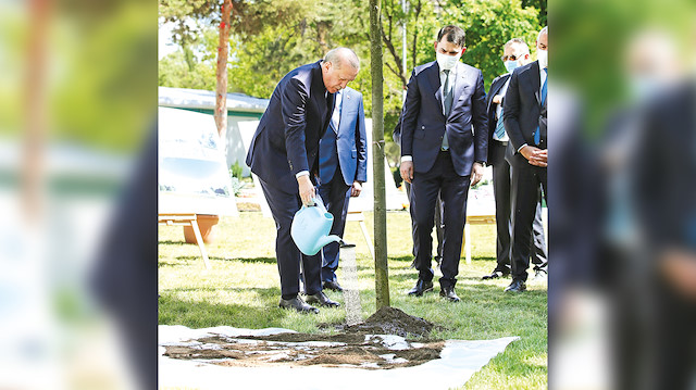 Ankara Millet Bahçesi’nde incelemelerde bulunan Cumhurbaşkanı Erdoğan, burada ağaç dikerek can suyunu verdi.