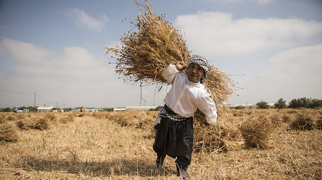 غزة.. مبادرة شبابية لدعم المزارعين بيوم البيئة العالمي