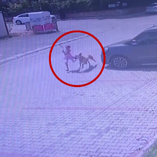 Izmir De Kopegin Kucuk Kiza Saldirma Ani Kameraya Yansidi