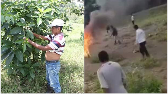Domingo Choc Che, a Mayan medicine specialist and traditional healer, was burned alive by a mob after he was accused of witchcraft ( Movement for the Liberation of Peoples ) 