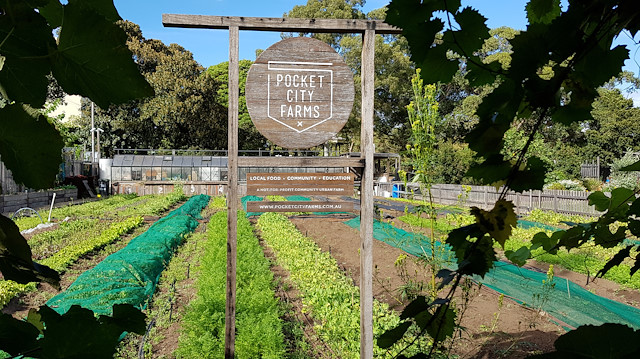 Crops grow on a market garden of Pocket City Farms, during an outbreak of the coronavirus disease (COVID-19), in inner Sydney, Australia April 29, 2020. 