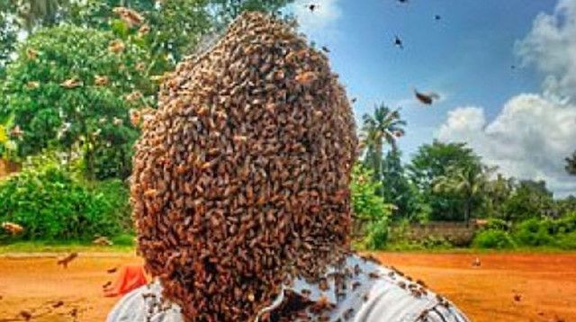 Genç adam, arıları 4 saat 10 dakika boyunca kafasında tutmayı başardı. 
