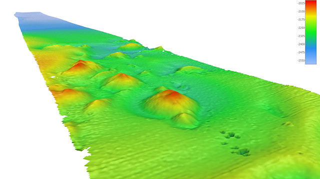 File photo: An image of the ocean floor is seen in this graphic received via Henry Gilliver of the Nippon Foundation - GEBCO Seabed 2030 Project (Copyright Fugro), in London, Britain May 22, 2018. The image shows color coded bathymetry showing seamounts on the seabed. Henry Gilliver of the Nippon Foundation - GEBCO Seabed 2030 / via Reuters