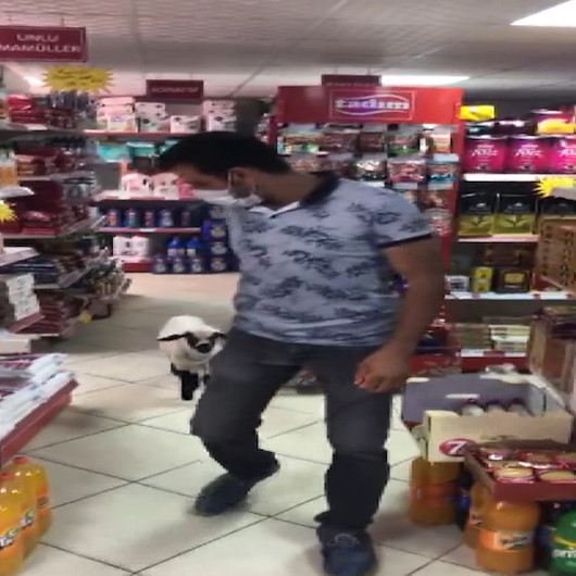 Biberonla beslediği kuzu peşinden ayrılmıyor