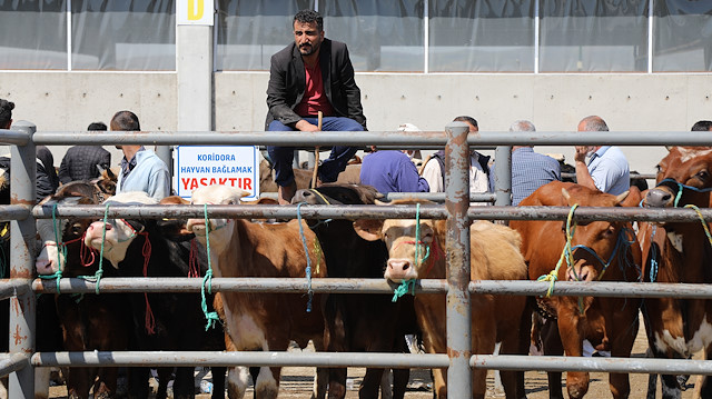 Kurban Bayramı yaklaştı, hazırlıklar başladı.