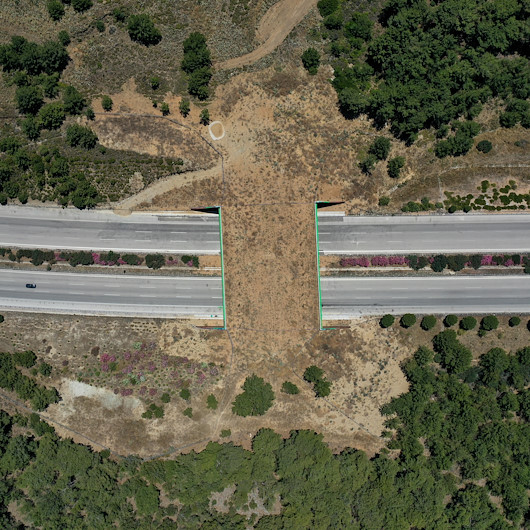 Yaban hayvanları korumak için İzmir-Çeşme yoluna yapılan ekolojik köprü tamamlandı