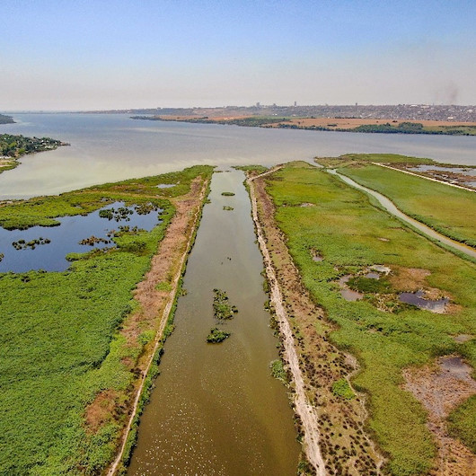 Küçükçekmece Gölü balık mezarına döndü
