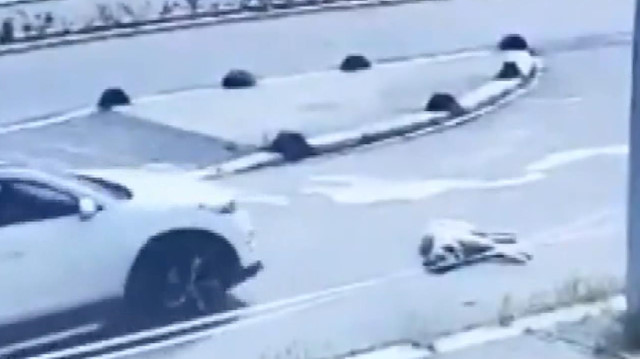 Yol ortasında uyuyan köpeği ezdi, yoluna devam etti