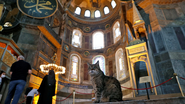 Gli the cat of Hagia Sophia or Ayasofya, a UNESCO World Heritage Site which was a Byzantine cathedral before it was converted into a mosque and currently a museum, is pictured in Istanbul, Turkey, July 2, 2020. REUTERS/Murad Sezer

