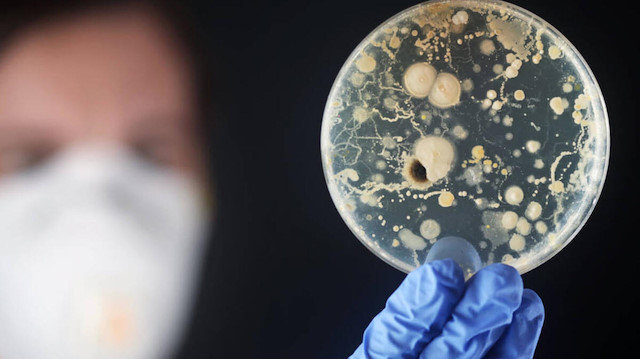 ABD'de koronavirüsün ardından yeni alarm: Beyni yiyip, bir haftada öldürüyor