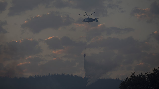 حريق يلتهم 300 هكتار من غابات شمال غربي تركيا