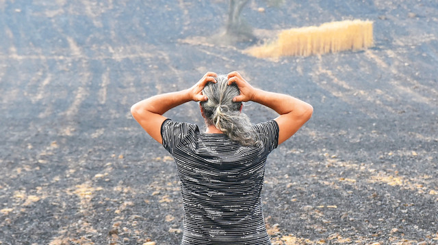19 saat sonra kontrol altına alınan orman yangınında 450 hektar alan zarar gördü. 
