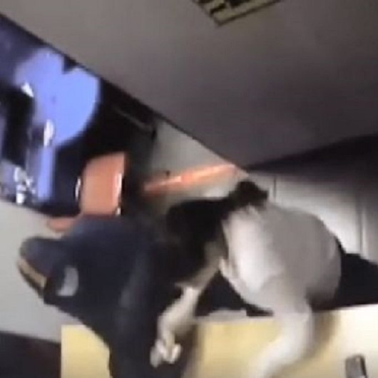 Rusyada banka soygunu anı güvenlik kamerasında