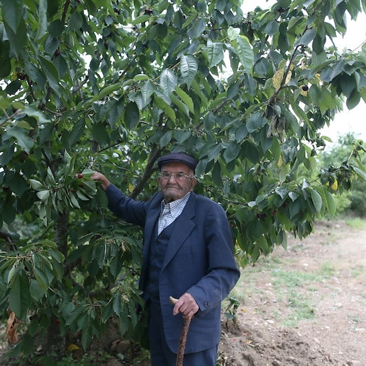 Bursalı İbrahim dededen hayrat bahçesi: Sebze ve meyveler 23 yıldır ücretsiz