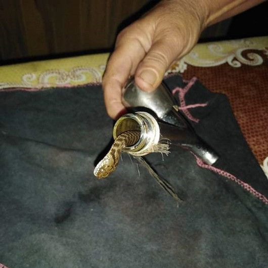 Hatayda bir evde musluktan yılan çıktı: Görenler şaşkınlığa uğradı